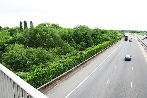 Ballardian: Shepperton Photo Essay