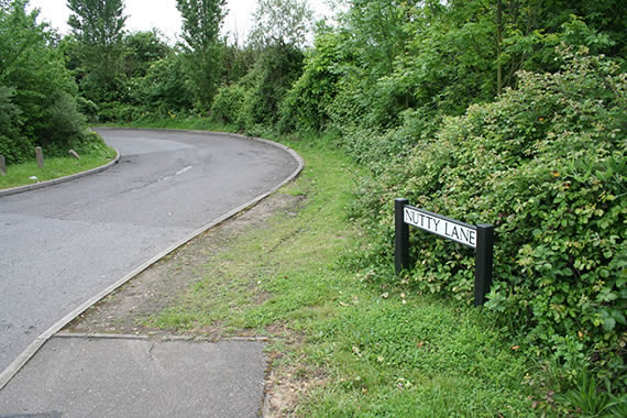 Ballardian: Shepperton Photo Essay