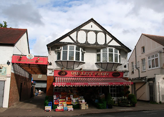 Ballardian: Shepperton Photo Essay