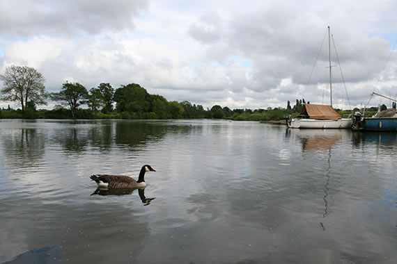 Ballardian: Shepperton Photo Essay