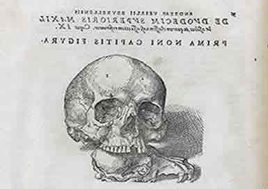 Ballardian: Another Atrocity